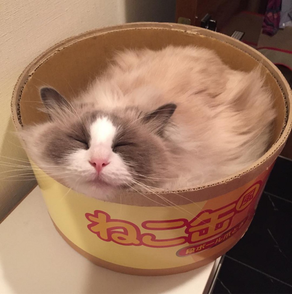 16585661_170503113448364_7777458291495403520_n