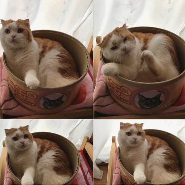 16906974_1800133196977946_9138440222512513024_n