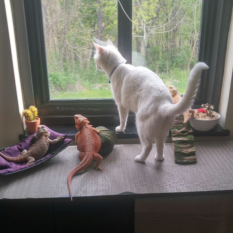 18013707_1406541292737799_7751060864148439040_n