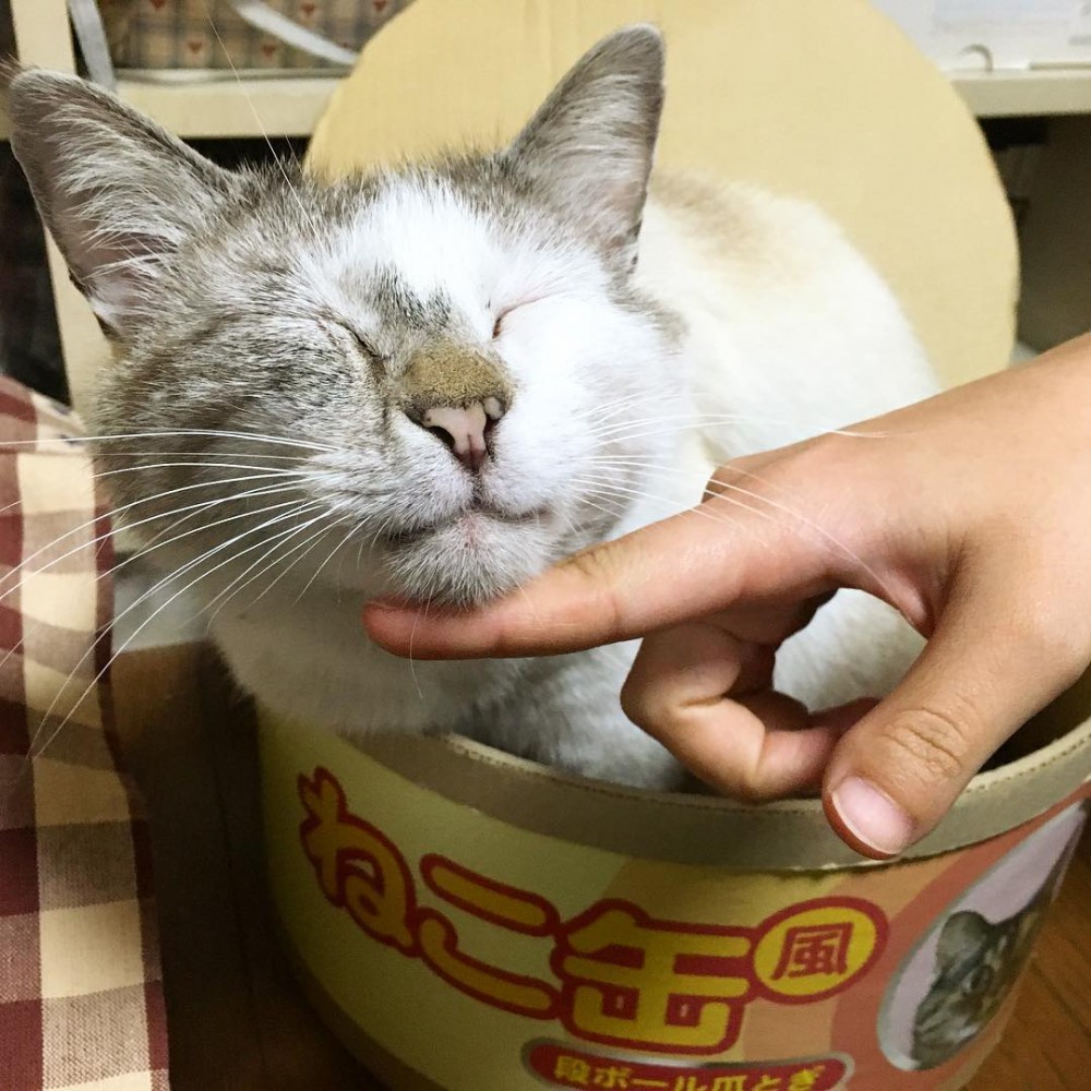 18252064_299972767102081_5442818497224638464_n