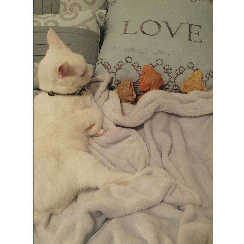 21041953_888427924644313_1332774003156189184_n