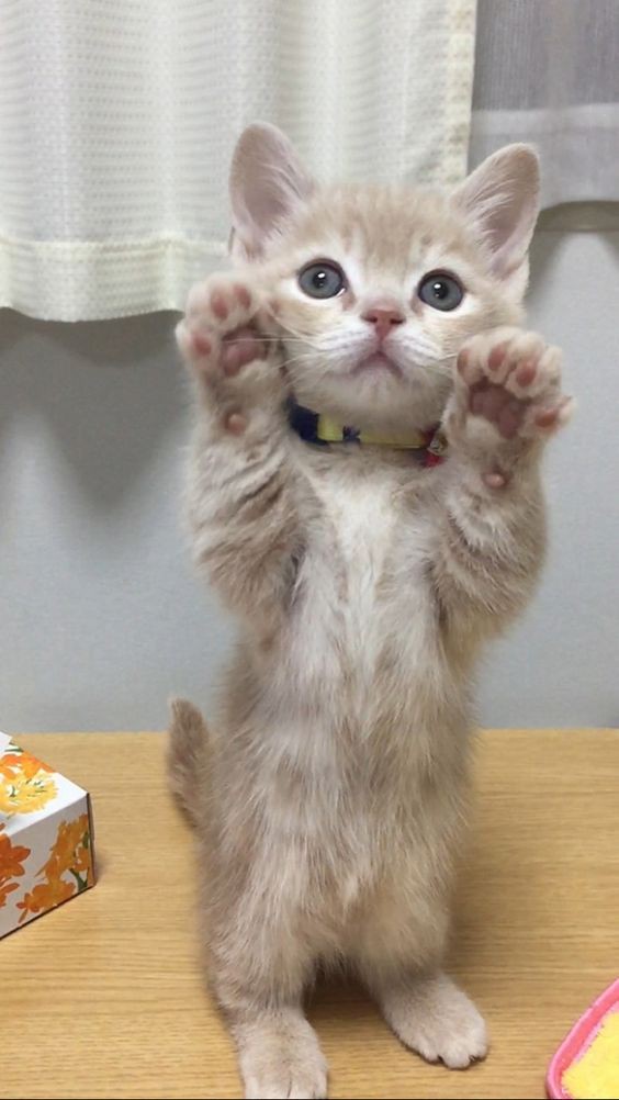 63dfb73c3b2ff6991fa62d8fa09dc358