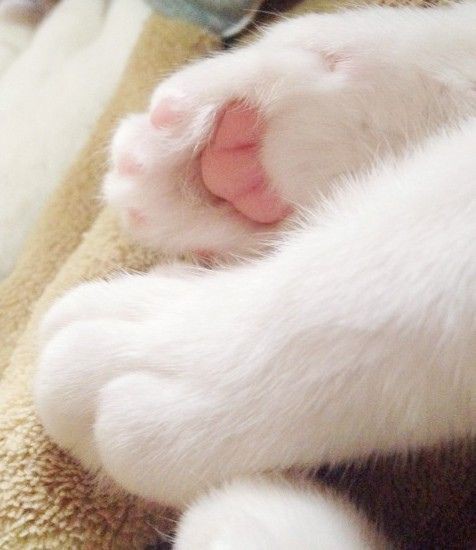 6e7e9679f077c42156040919d1d30432