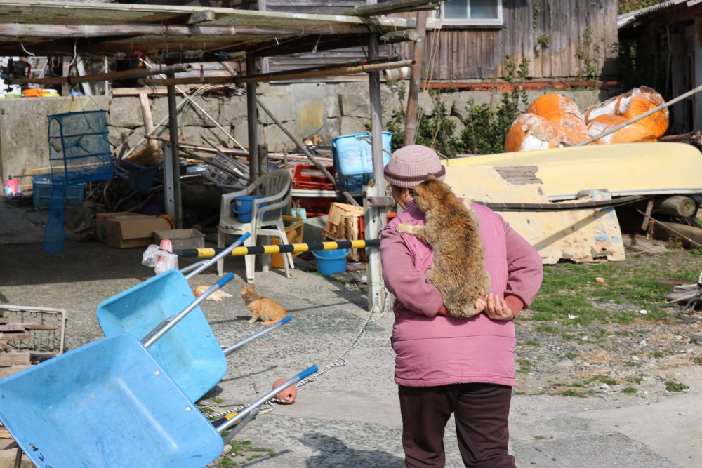 Cat Island Aoshima