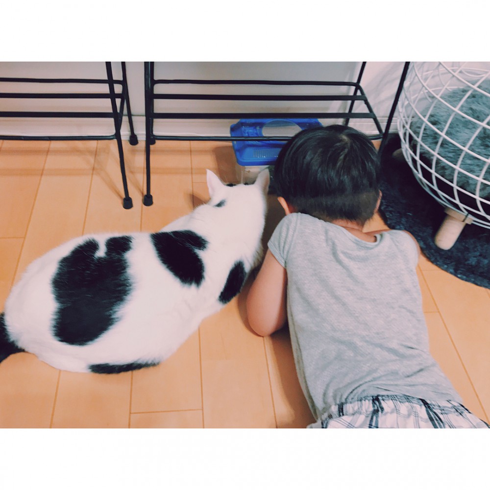 Instagram