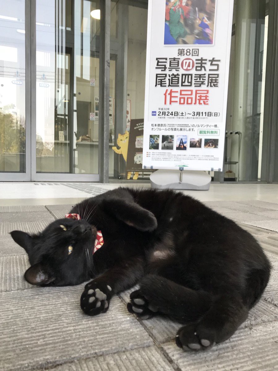 尾道市立美術館