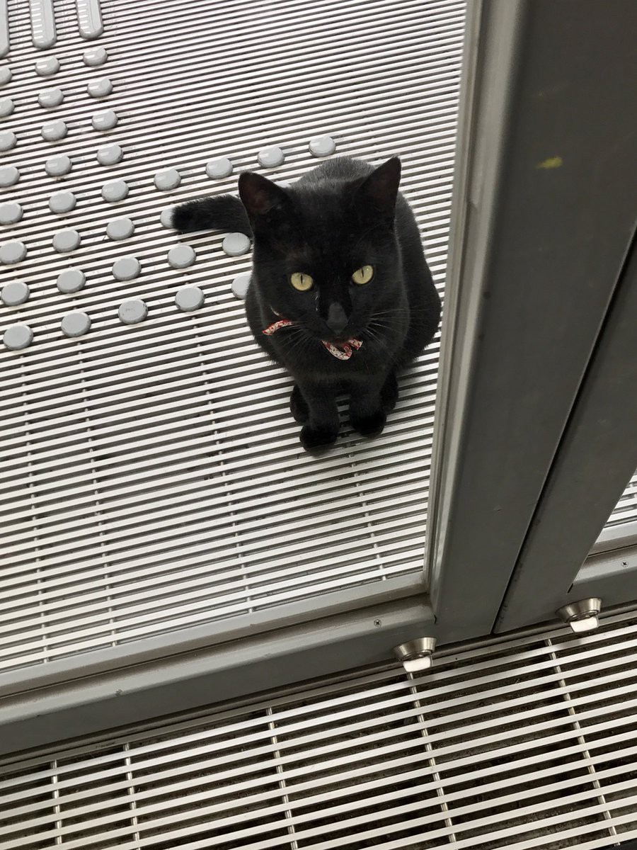 尾道市立美術館