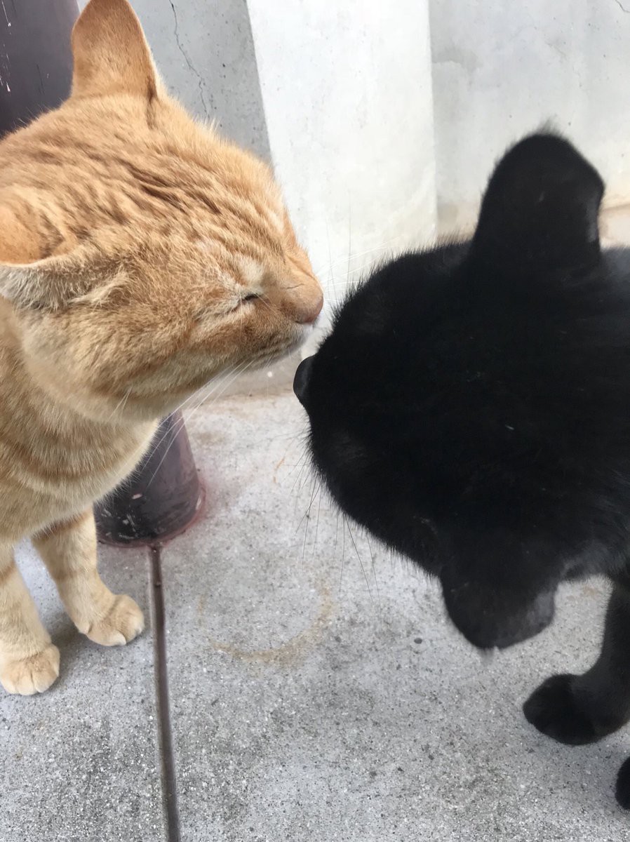 尾道市立美術館