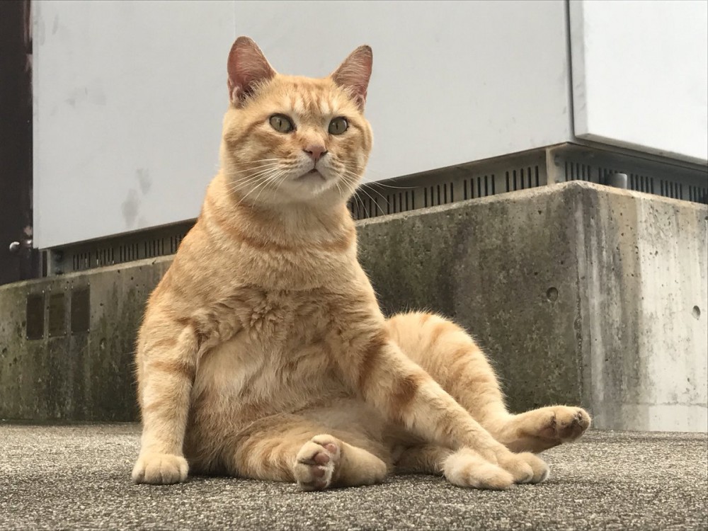 尾道市立美術館