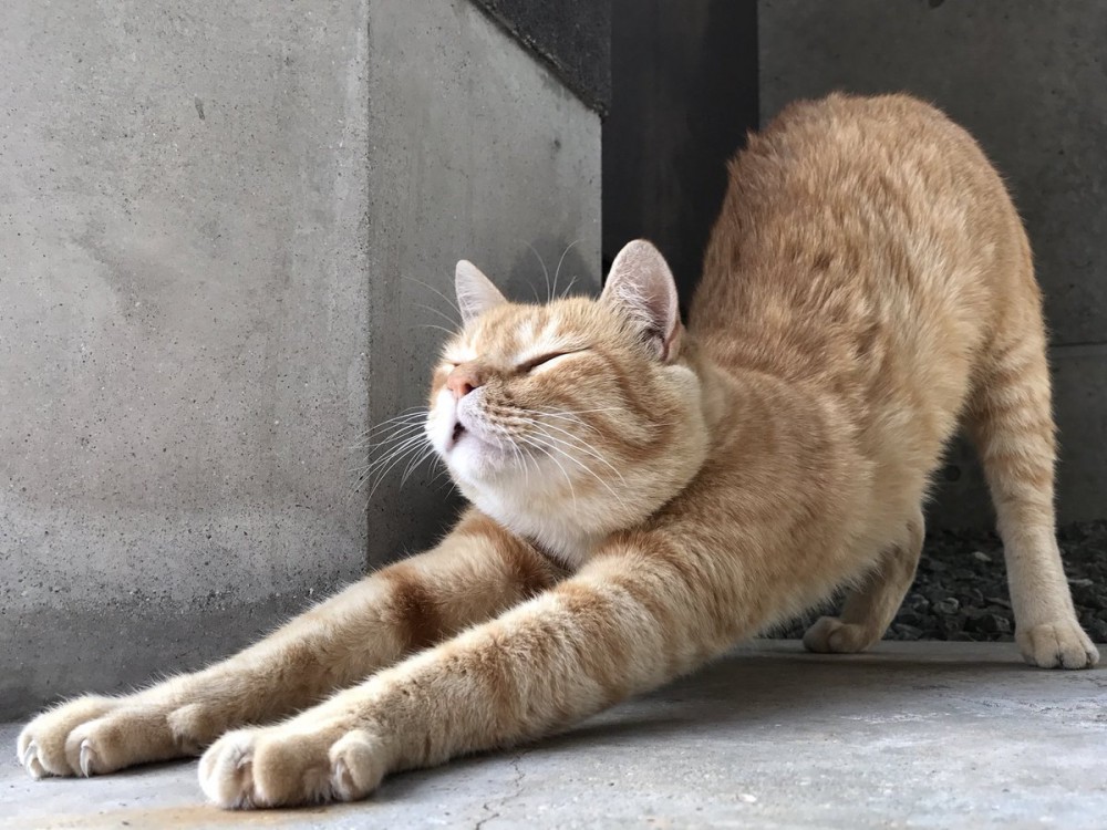 尾道市立美術館