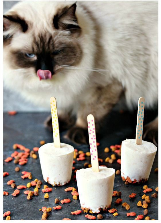 90b52e576ee14284379dc845da41e600