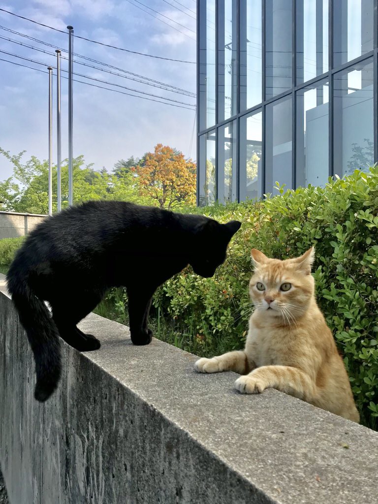 尾道市立美術館