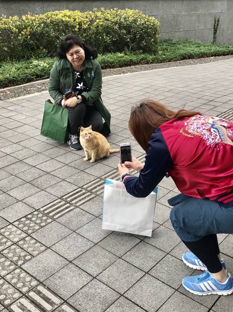 尾道市立美術館
