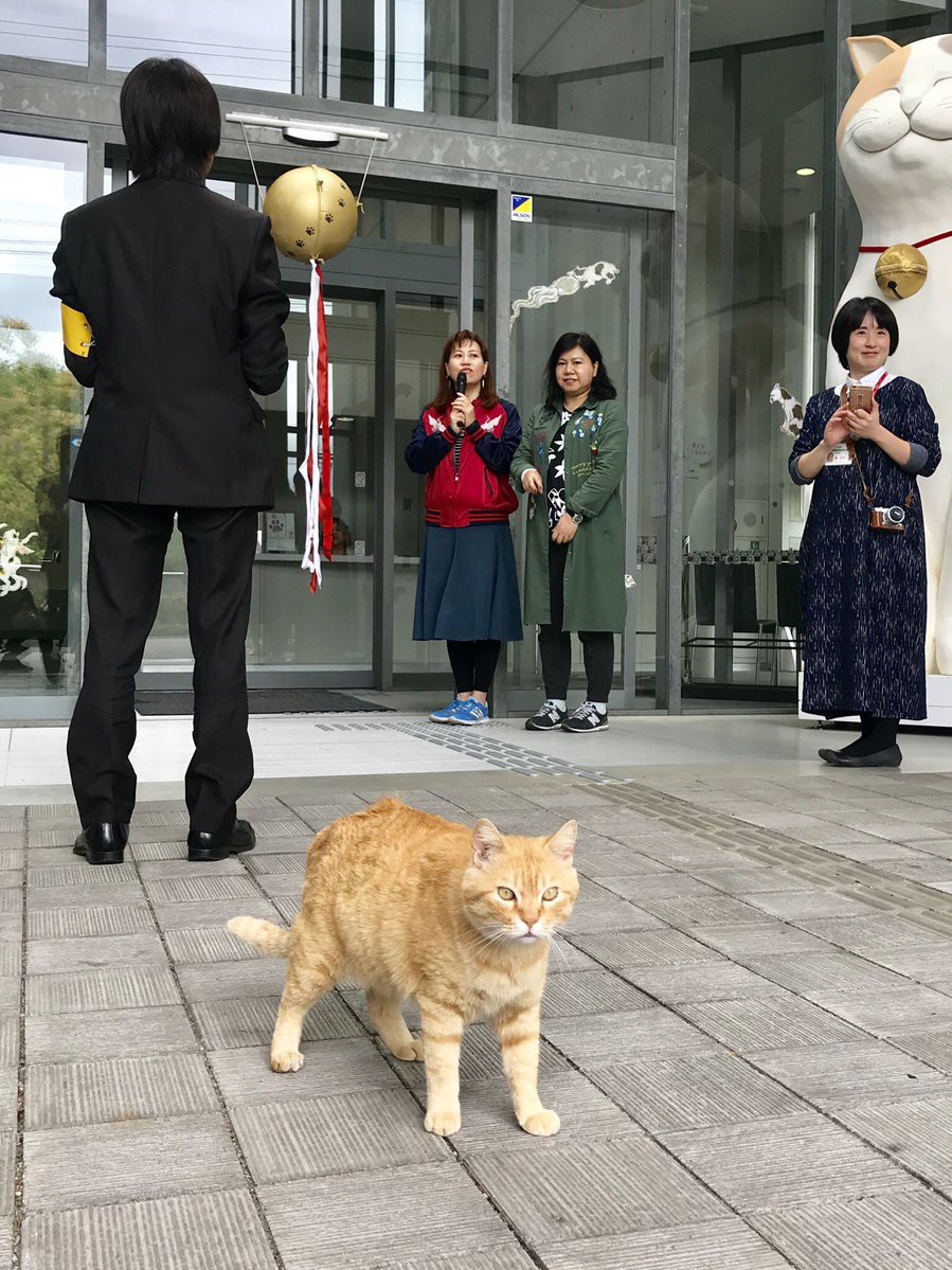 尾道市立美術館