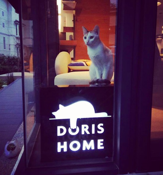 DORIS HOME 朵麗絲的家