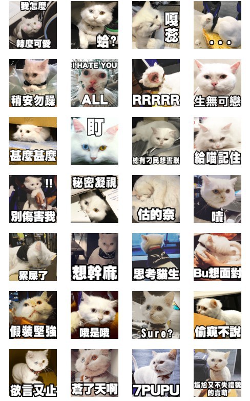 螢幕快照 2018-05-22 下午5.54.10