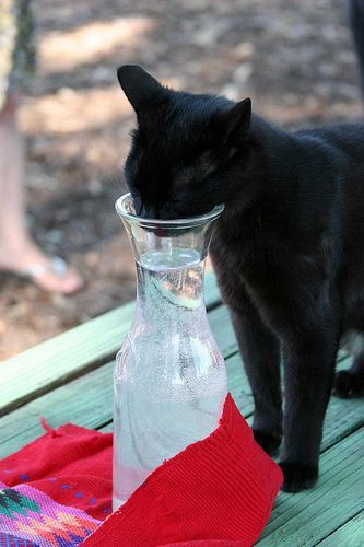 Pinterest