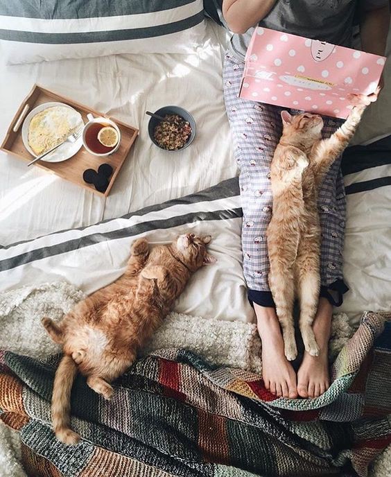 Pinterest
