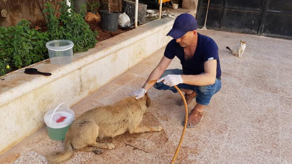 Alaa and house of Cats Ernesto in Aleppo