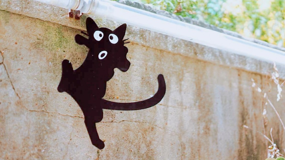 台南 x 二輪 x 生活