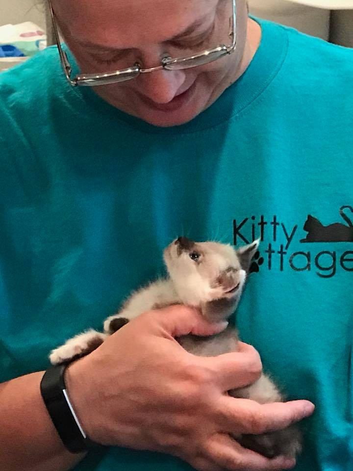 Kitty Kottage Dothan