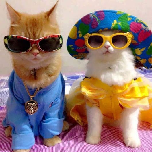 Pinterest