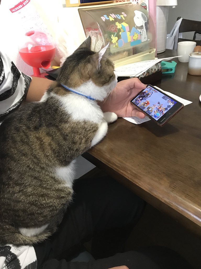 Twitter