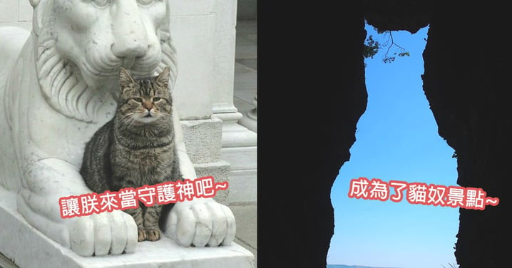 新「招財貓」上任！熊本地震後出現貓咪奇石，負起守衛整村子的責任！