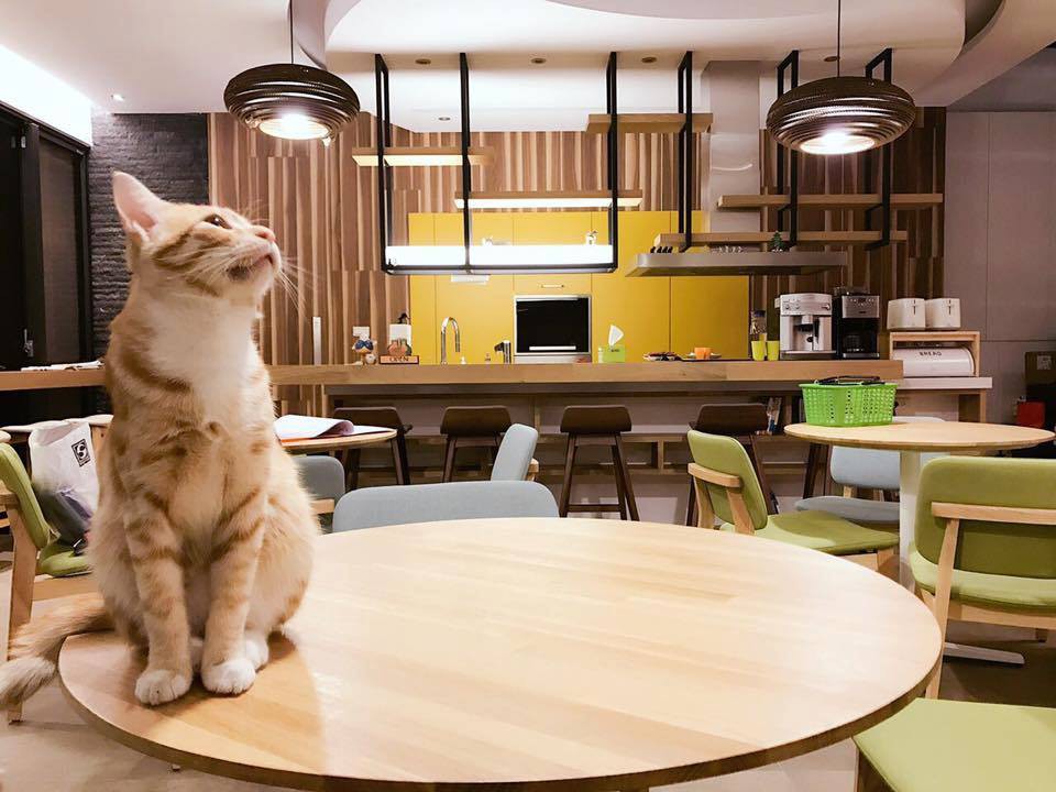 DORIS HOME 朵麗絲的家