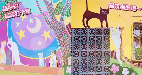 史上最萌貓咪打卡牆！隱身巷弄的《貓咪高地》彩繪牆，貓奴們快來朝聖吧～