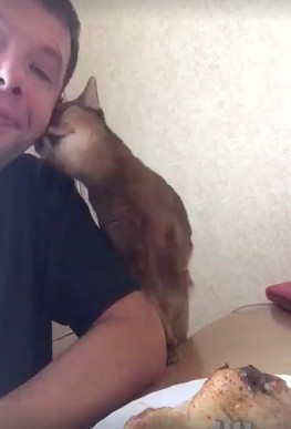 螢幕快照 2018-06-21 下午1.09.44