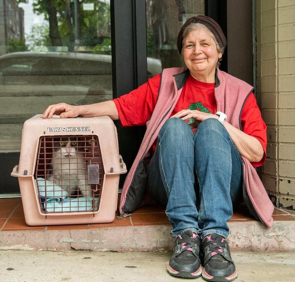 Magnificat Cat Rescue and Rehoming