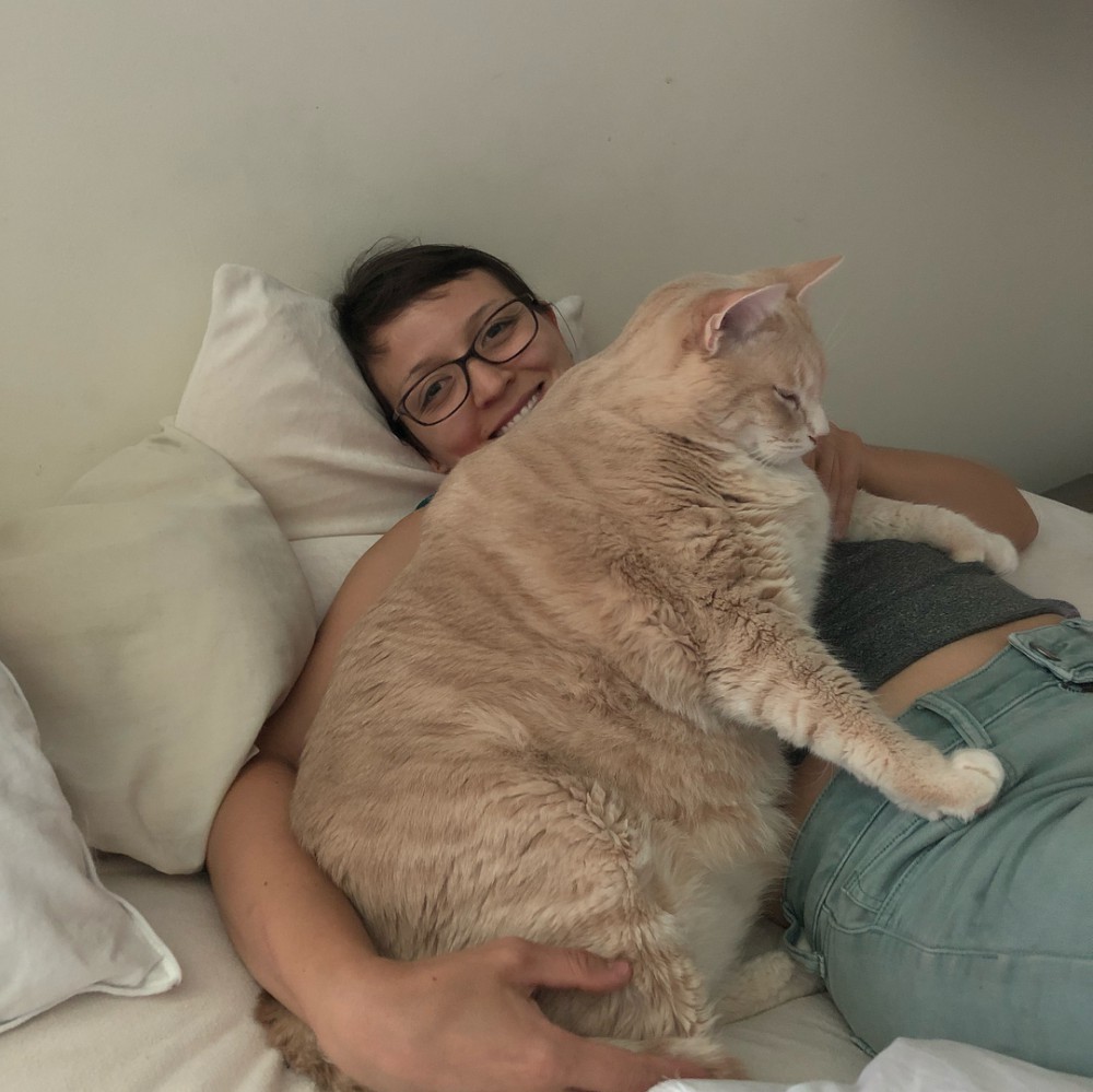 iambronsoncat