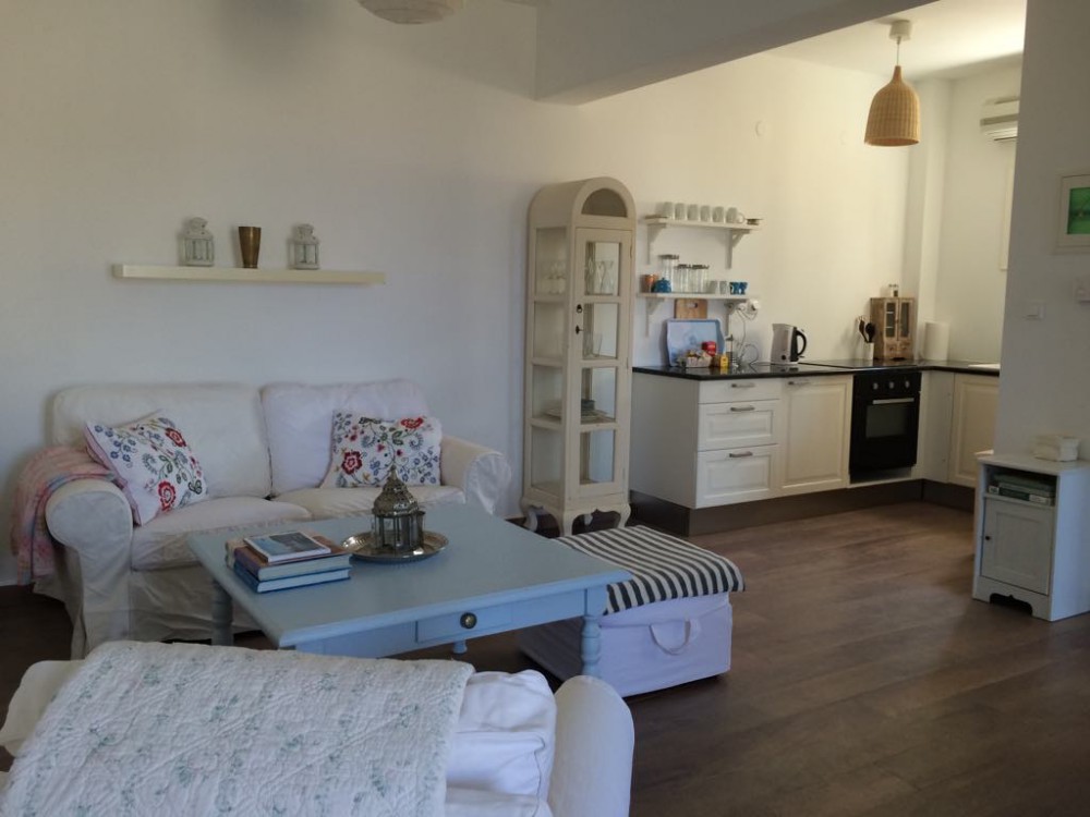 God's Little People Cat Rescue