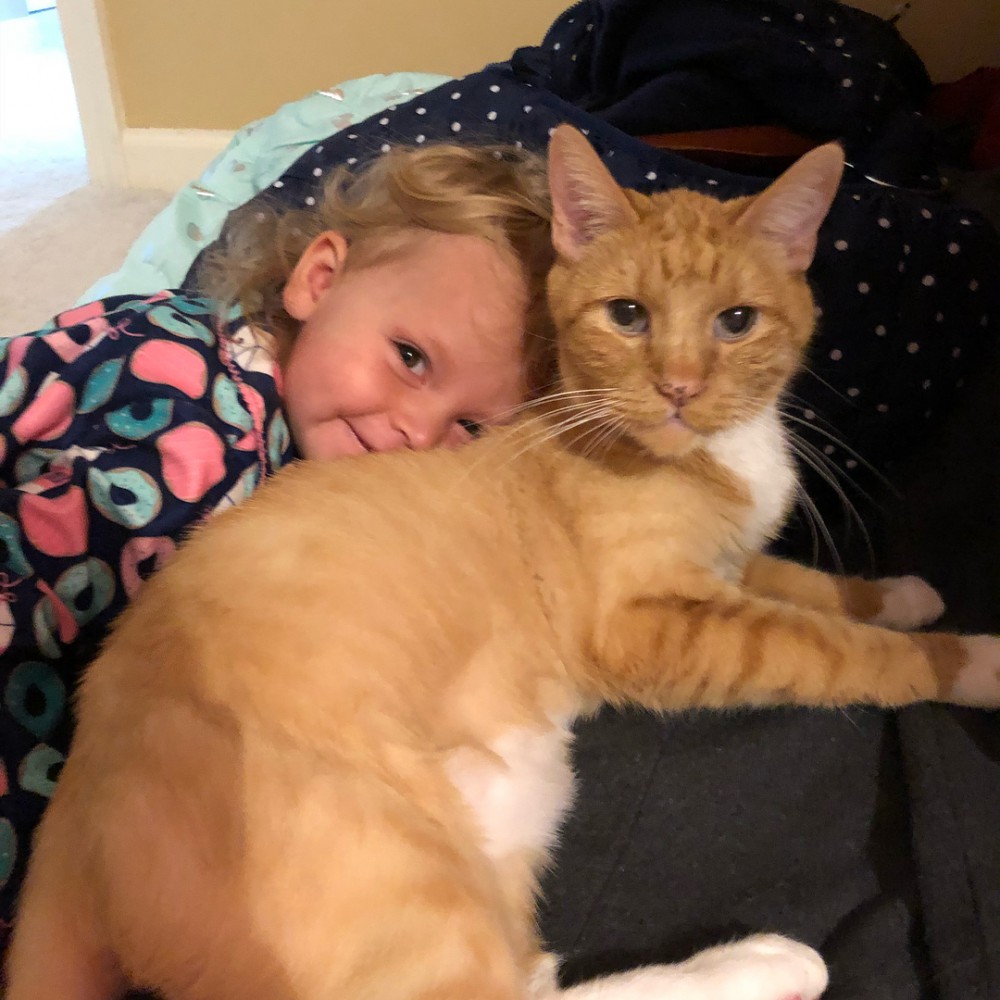 bailey_no_ordinary_cat