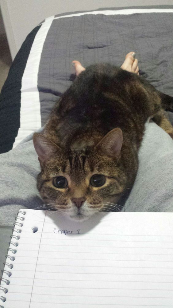 beb799204c9fe70cc71115f527e21ad2