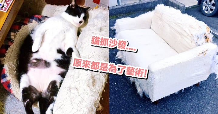 人類都誤會惹！貓咪其實是天生的藝術家：抓破沙發，是為了創造最極致的『美感』！！