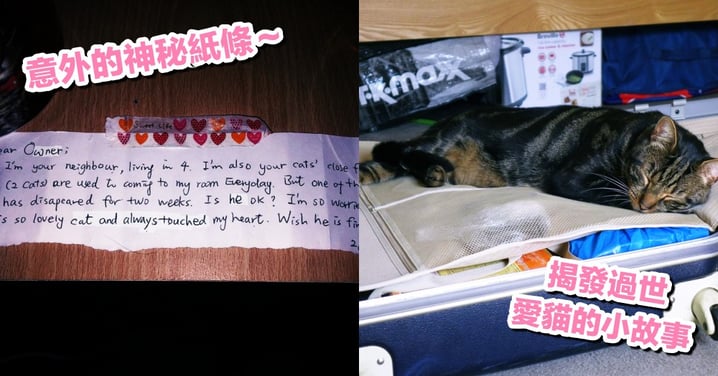 愛貓車禍去世，沒想到因為鄰居的一張小紙條～意外揭發貓貓生前的小秘密！