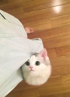 pinterst