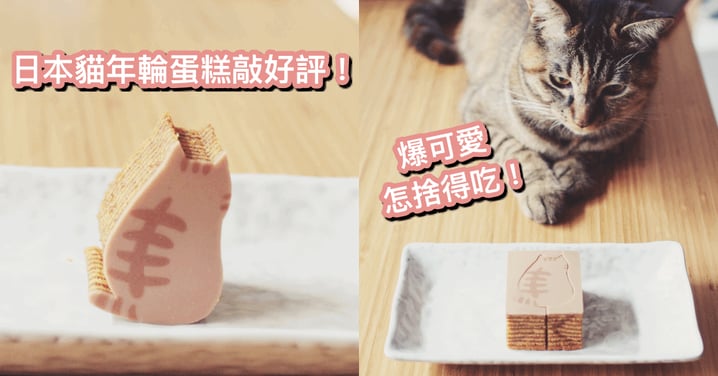 網登超強伴手禮！日本『貓咪年輪蛋糕』萌度爆表，擊敗仿狗冰淇淋，讓你不停直喊卡哇意～