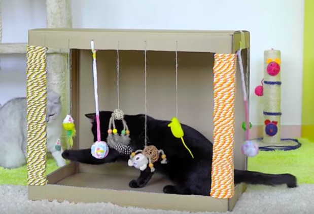 CanVideo - 罐头视频 