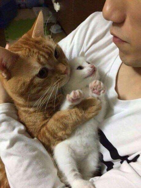 pinterest
