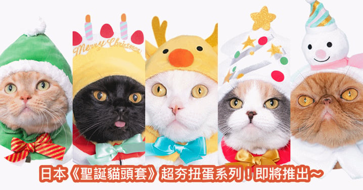 貓奴們尖叫吧！日本超值扭蛋《貓咪聖誕頭套》可愛度爆表！和主子一起期待聖誕的來臨～