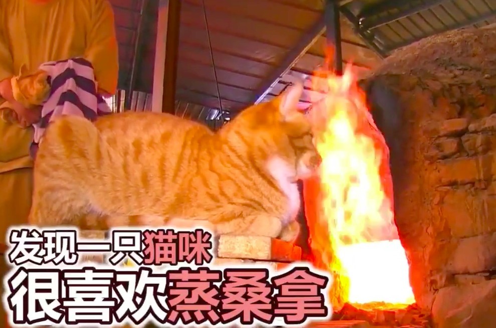 秒拍