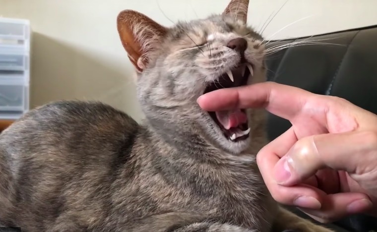 モアクリ