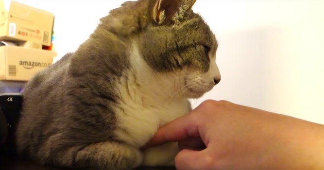 モアクリ