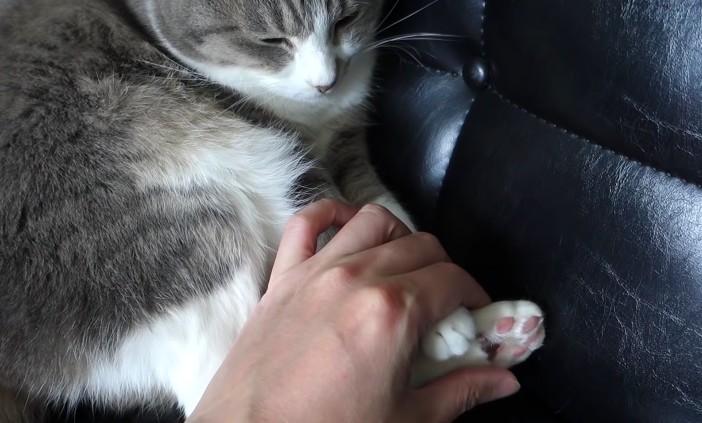 モアクリ