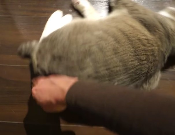 モアクリ