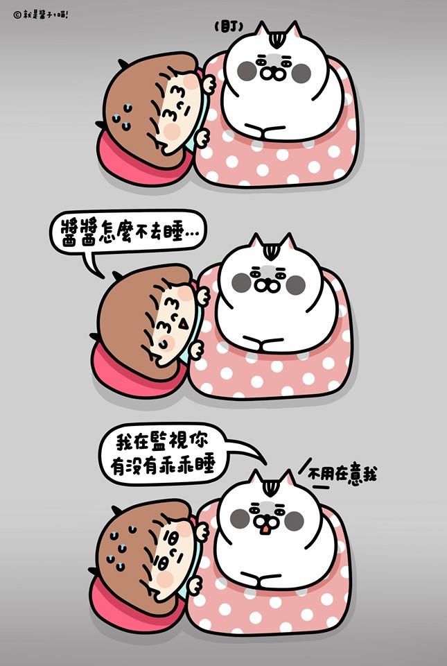 ＦＢ：就是醬子，喵！