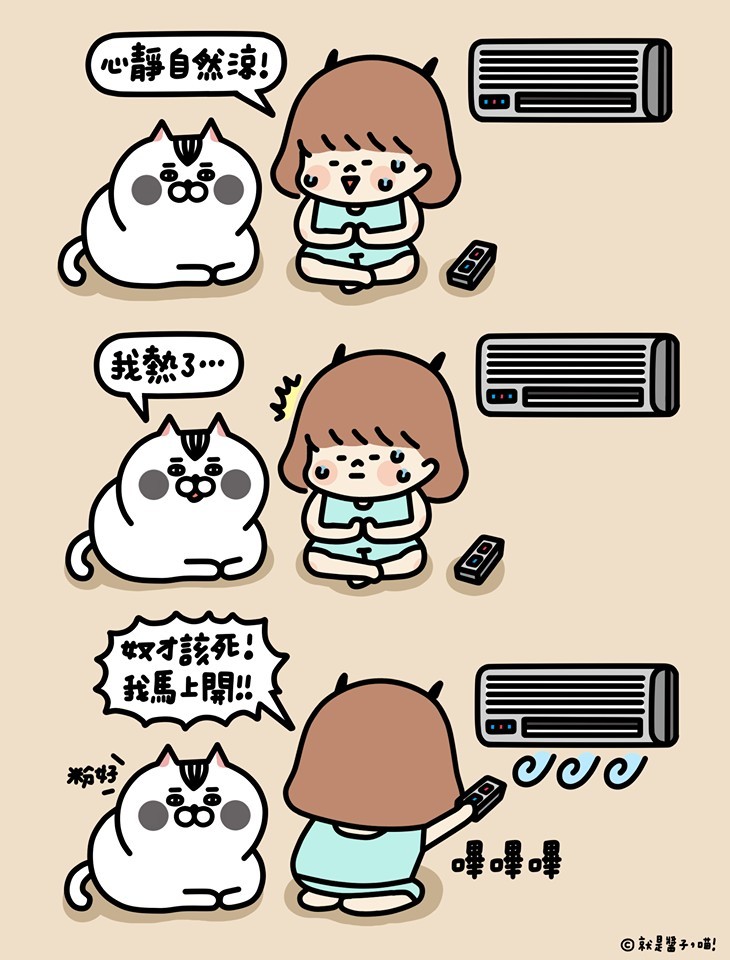 ＦＢ：就是醬子，喵！